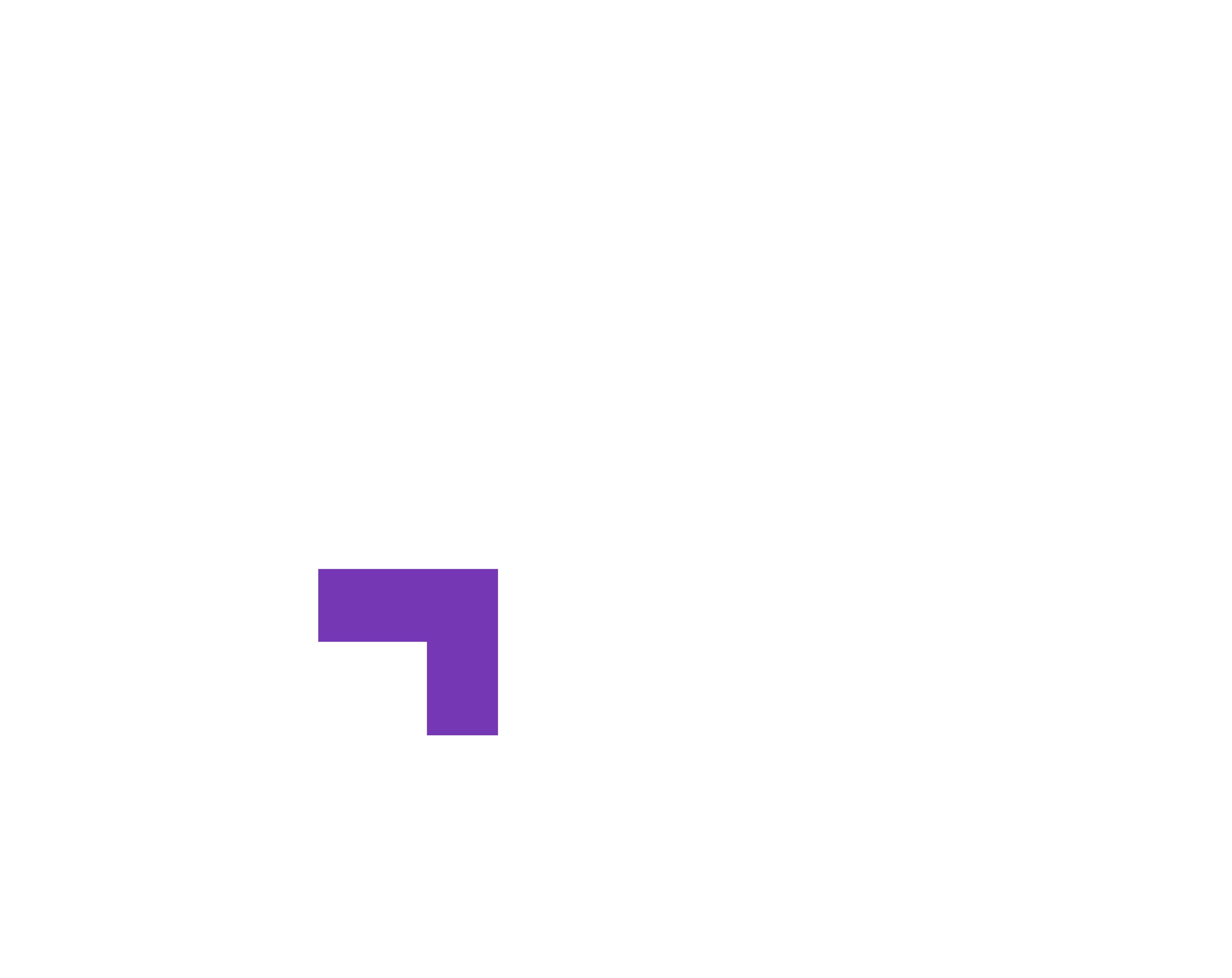 Ray Labs